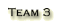 team3
