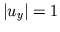 $\vert u_y\vert=1$